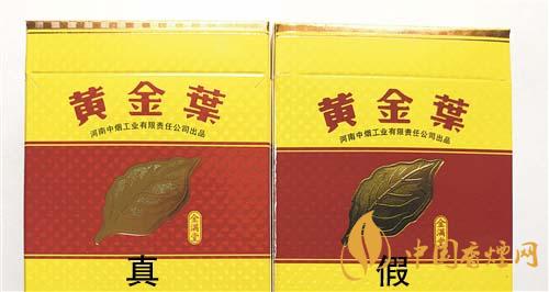 如何辨別黃金葉金滿堂真假？2020黃金葉真假辨別詳情對(duì)比