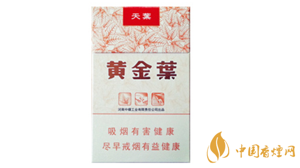 黃金葉天葉真?zhèn)卧趺幢鎰e？天葉真假如何看？