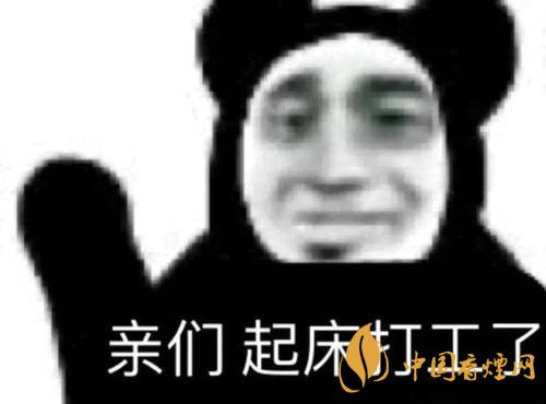 早安打工人是什么梗 早安打工人梗語錄大全