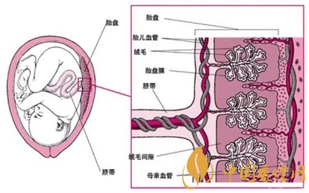 煙草對(duì)嬰兒的傷害有哪些 科學(xué)家已證明實(shí)際危害