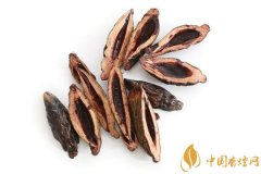 吃檳榔會(huì)為什么會(huì)上癮 檳榔的危害比煙小嗎